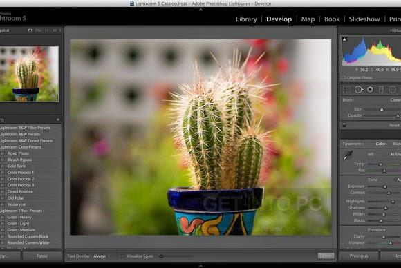 free download for affinity photo for mac