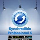 Synchredible Professional 5 Free Download