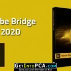 Adobe Bridge CC 2020 Free Download