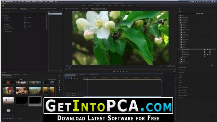 get adobe premiere for free