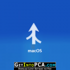 Araxis Merge Pro 2020 Free Download macOS